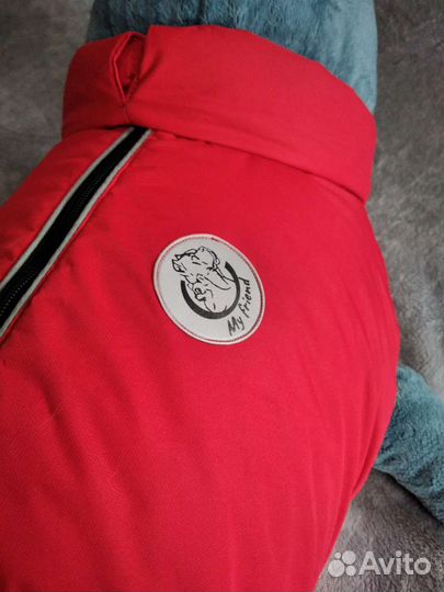 Попона для собаки