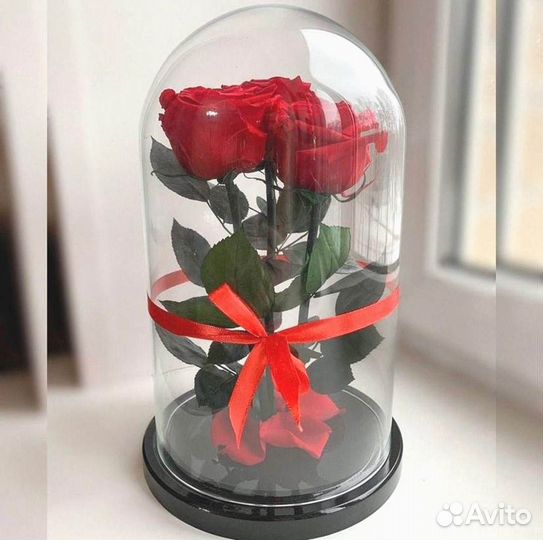 Роза в колбе