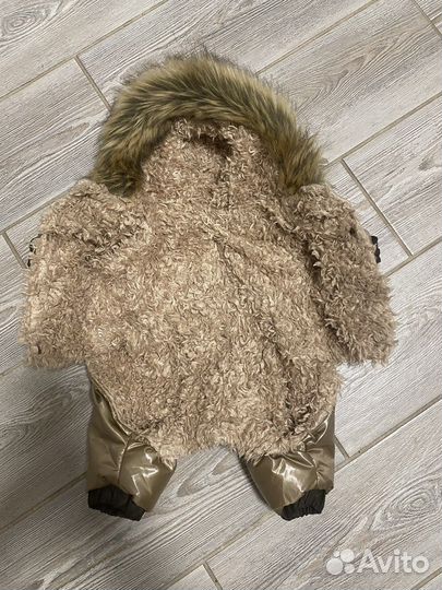 Одежда для собак