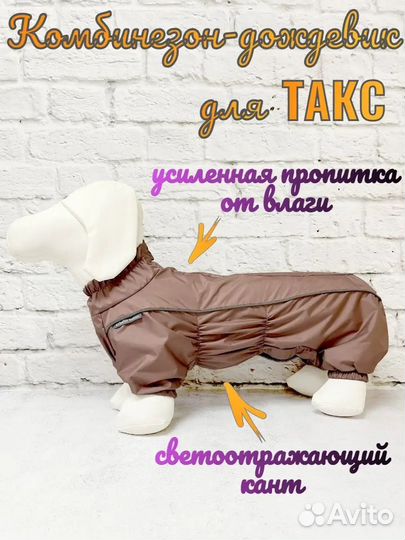 Одежда для собаки