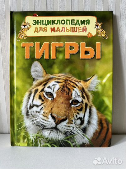 Детская энциклопедия