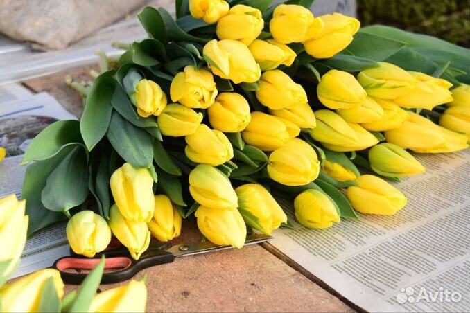 Тюльпаны букет опт