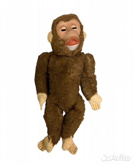 Обезьяна гдр