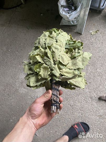 Банные веники