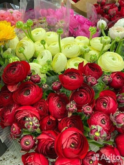 Букет из ранункулюсов цветы