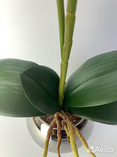 Орхидея фаленопсис искусственная