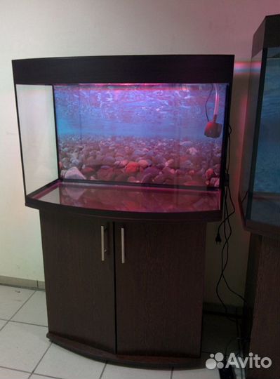 Аквариум 200 полукруглый, свет, биофильтр, тумба