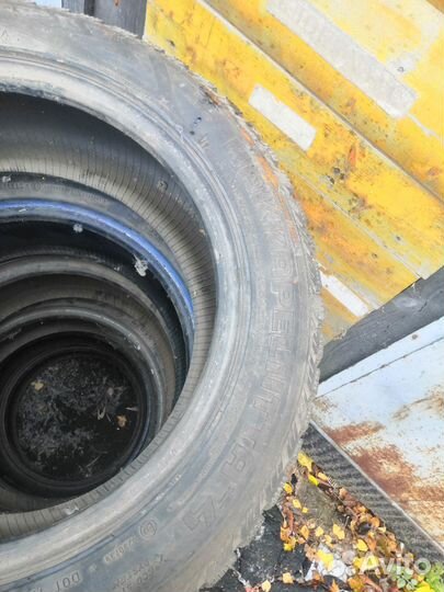 Accelera Accelera Summer 205/55 R16