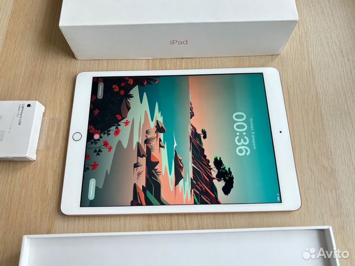 Apple iPad 7-го поколения 10.2 Дюйма