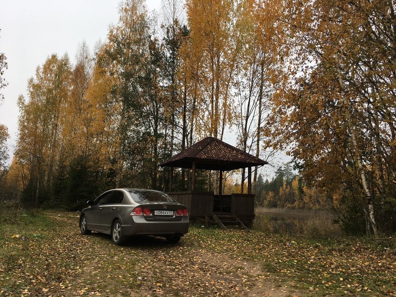 Honda Civic: фото владельца