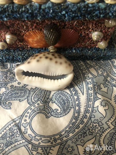 Шкатулка из раковин и кораллов