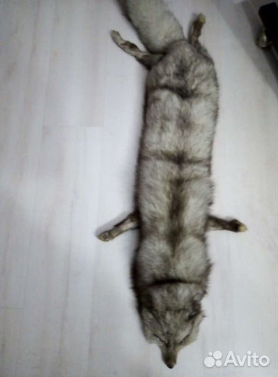 Воротник песец