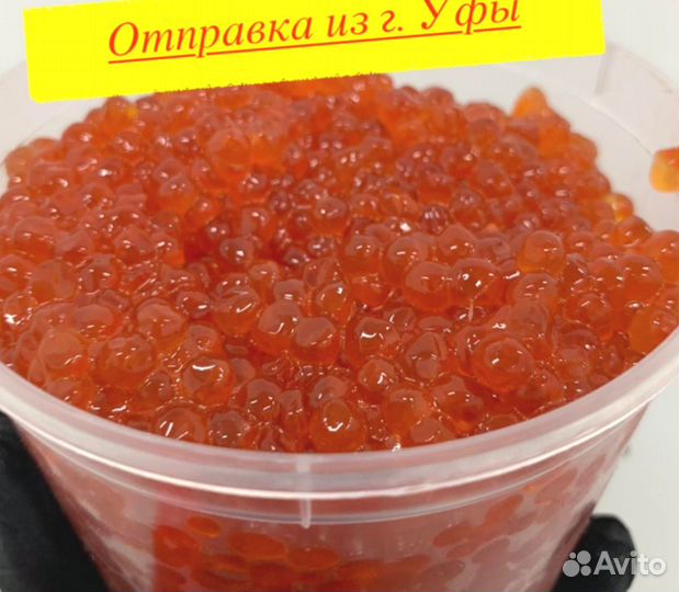 Красная икра