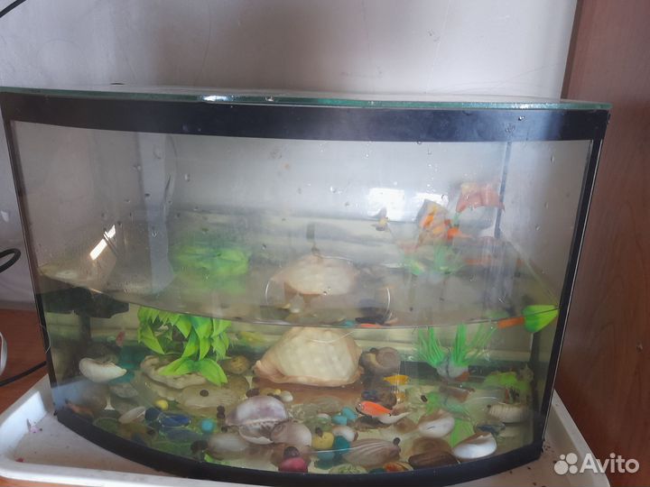 Аквариум