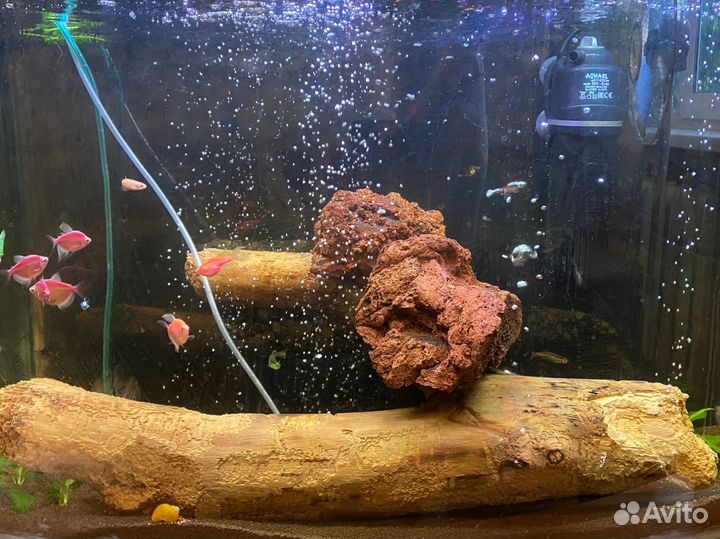 Аквариум 100литров