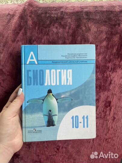 Учебники 10 11 класс