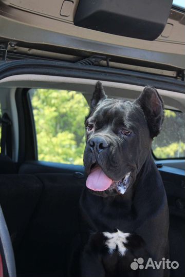 Супер мальчик