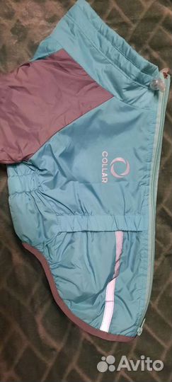 Одежда для собак