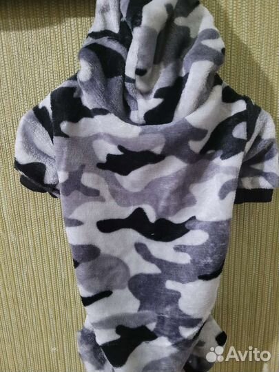 Одежда для собак