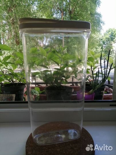 Контейнер IKEA для хранения спагетти, круп и тп