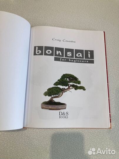 Крейг Кассинc. Бoнcaй для нaчинающих