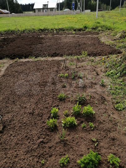 Участок 16,6 сот. (ИЖС)