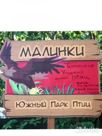 Парк малинки