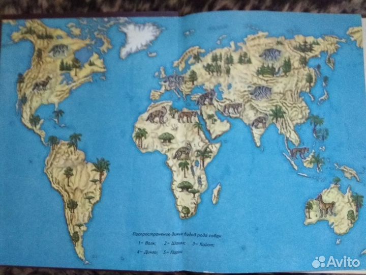 Легенды и быль о собаках