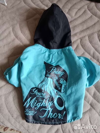 Плащ для маленькой собачки