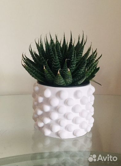 Кашпо из гипса