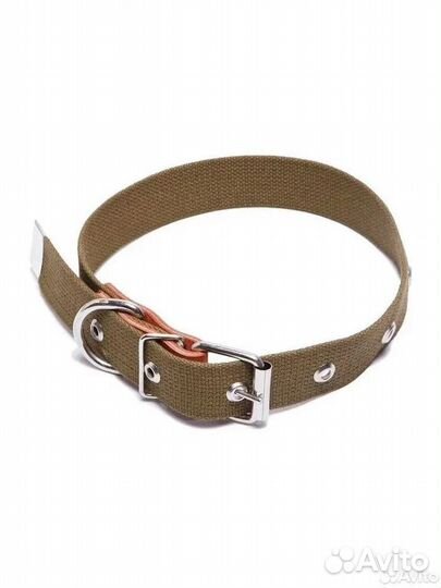 Ошейники и поводки для собак оптом