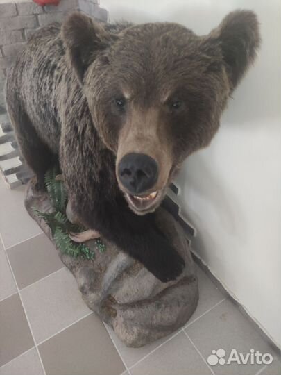 Имитация чучела медведя