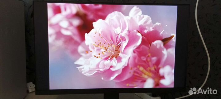 Монитор koorui 24 дюйма, full HD, 75hz, новый