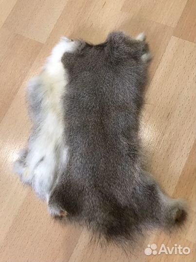Шкурки белки