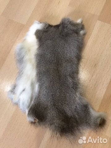 Шкурки белки