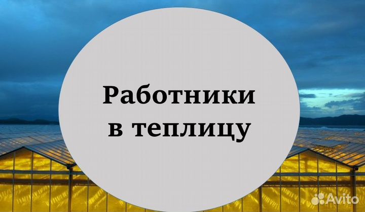 Работники в теплицу. Дневные смены. Подработка