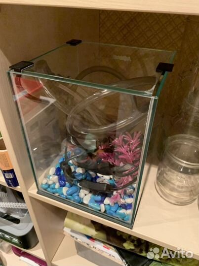 Аквариум