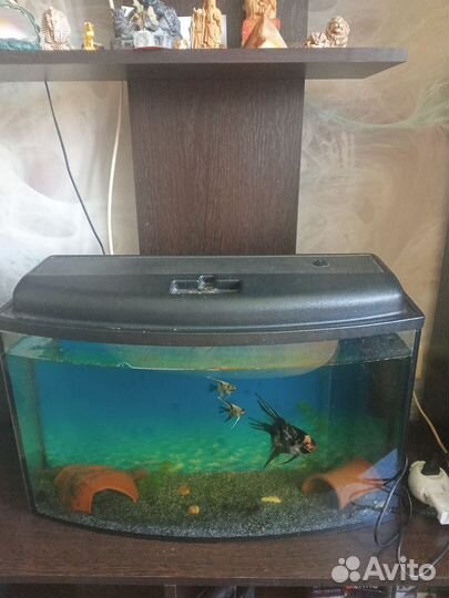 Аквариум