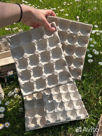 Ячейки для яиц упаковка картонные и пластиковые