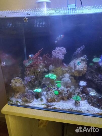 Морской аквариум с тумбой