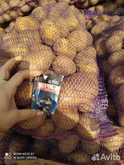 Продам картофель
