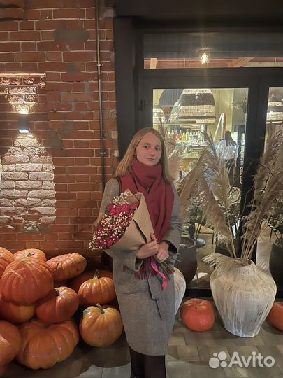 Репетитор по математике, информатике, физике