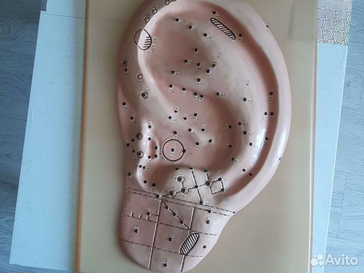 Наглядное пособие