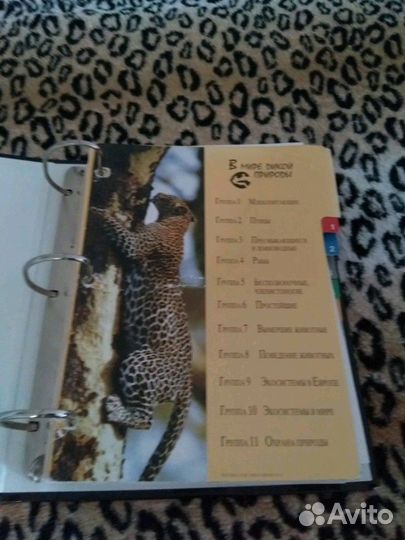 Книга о животных