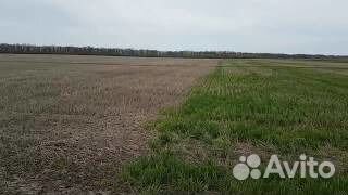 Раундап фермерский