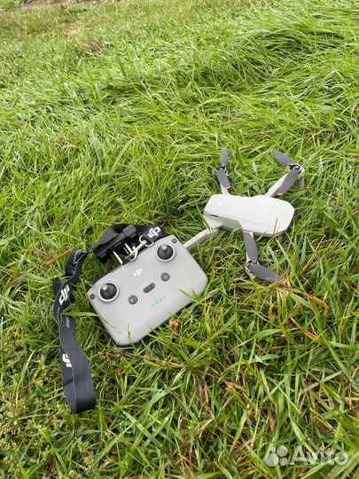 Квадрокоптер dji mini 2se
