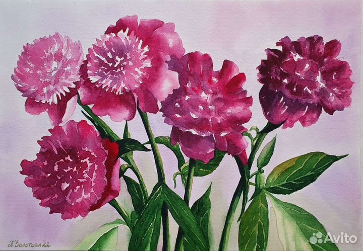 Картина акварелью Пионы