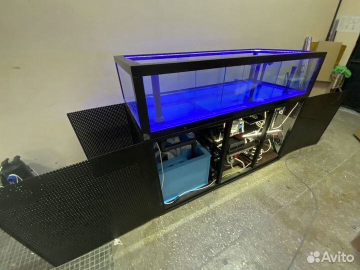 Аквариум узв передержка устриц краба морепродуктов