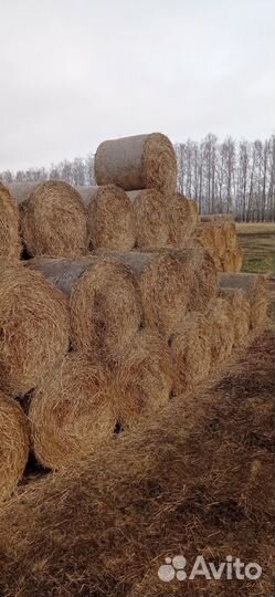 Солома в рулонах 2024год