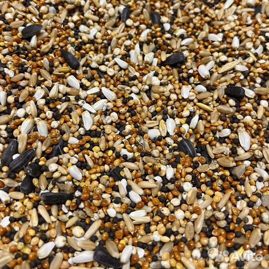 Корм для лесных и уличных птиц
